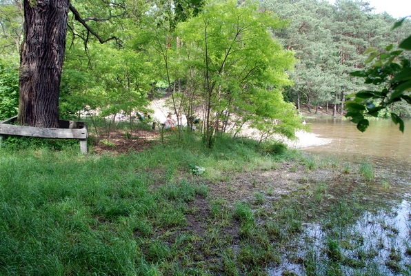 Była plaża... nie ma plaży.
Poziom wody w jez. Górskim podniósł się o kilkadziesiąt centymetrów.
Słowa kluczowe: jezioro Górskie plaża powódź