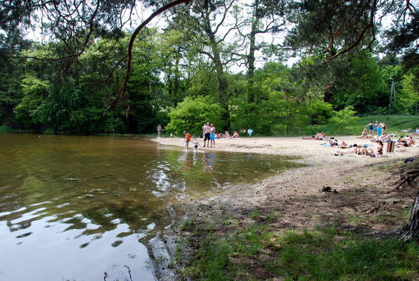 Plaża w Grabinie nad jez. Górskim
Plaża zmniejszyła się co najmniej o połowę. Z parkingu przy Rusałce na plażę da się dojść tylko za tymi wielkimi drzewami
Słowa kluczowe: jezioro Górskie plaża powódź 