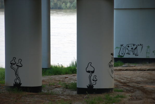 Graffiti na filarach mostu
Słowa kluczowe: most filary graffiti