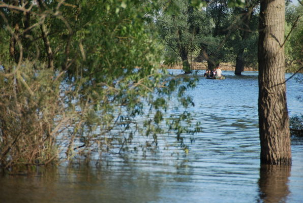 Troszyn Polski
Woda po powodzi już opada, ale jeszcze łódki służą za podstawowy środek lokomocji
Słowa kluczowe: powódź Troszyn łódka