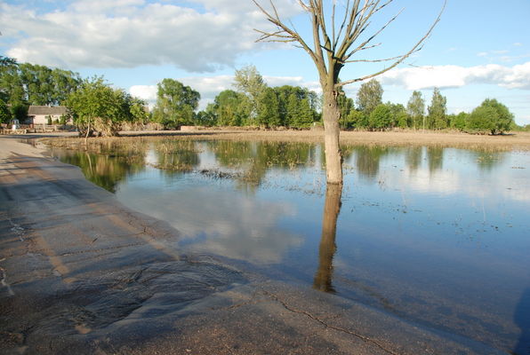 Po powodzi
Troszyn Polski
Słowa kluczowe: Troszyn powódź