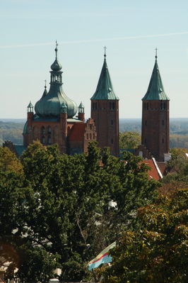 Wieże katedry i zamku
widziane z wieży Liceum Małachowskiego
Słowa kluczowe: katedra zamek wieże