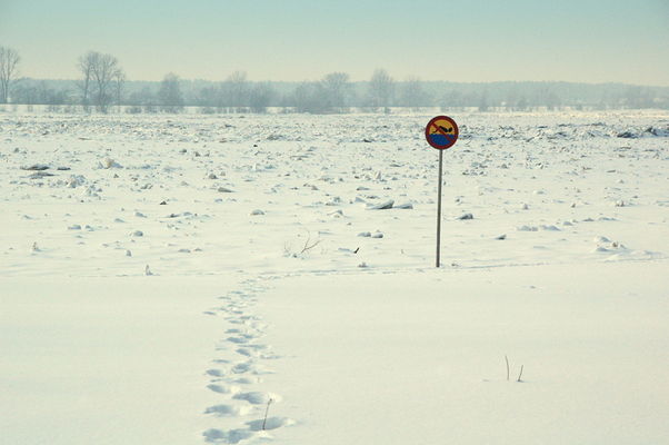 Zakaz kąpieli :)
Słowa kluczowe: Wisła kra
