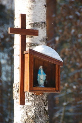 Kapliczka przy leśnej drodze nad jeziorem w Soczewce
Słowa kluczowe: kapliczka krzyż Soczewka