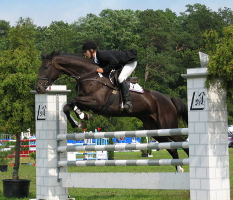 Mistrzostwa Polski Młodych Koni w Skokach przez Przeszkody
Łąck 2006
Słowa kluczowe: Łąck stado koń