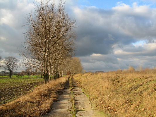 Nadwiślański krajobraz - Brwilno
Brwilno (wał za Popłacinem)
Słowa kluczowe: Brwilno wał