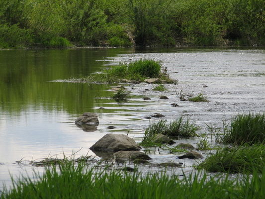 Wisła w okolicach Liszyna - w głębi fragment Rezerwatu Kępa Liszyno
"Urządzenie" do mącenia wody ;)
Słowa kluczowe: Liszyno Wisła