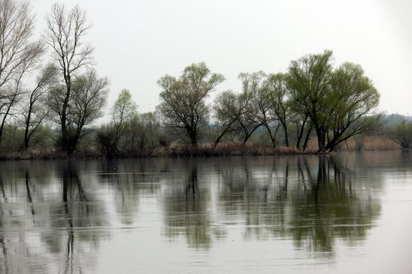 Lustro
Wisła w okolicach nowego mostu
Słowa kluczowe: Wisła