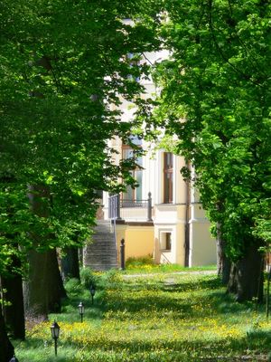 W tajemniczym ogrodzie
Pałac w Łącku - widok od strony Białego Dworku Stada Ogierów
Słowa kluczowe: Łąck pałac