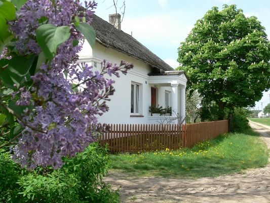 Lipianki - gospodarstwo agroturystyczne
Gospodarstwo agroturystyczne w Lipiankach (gm. Nowy Duninów)
Słowa kluczowe: Lipianki gospodarstwo bzy