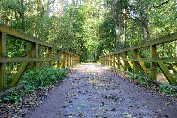 Mostek
Mostek w Sikorzu na terenie Brudzeńskiego Parku Krajobrazowego
Słowa kluczowe: Sikórz mostek