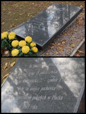 Prochy dwóch powstańców z 1863 r.
Cmentarz wojskowy przy ul. Norbertańskiej
"Tu spoczywają prochy ludzkie ekshumowane 18 października 2001 r. z posesji Królewiecka 22 - zgodnie z tradycją było to miejsce pochówku dwóch powstańców poległych w Płocku w 1863 r."
[url]http://galeria.plock24.pl/displayimage-17272.html[/url]
Słowa kluczowe: prochy powstańcy 1863 Królewiecka Norbertańska cmentarz wojskowy