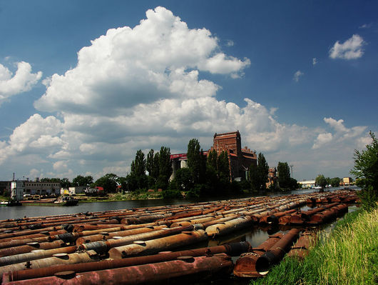 W pełnym świetle
Elewator 
Słowa kluczowe: Radziwie elewator