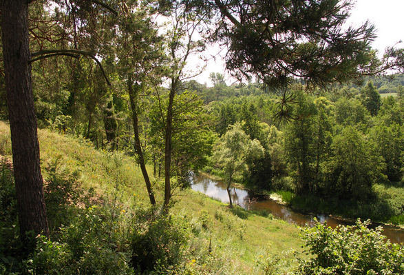 Okolice Płocka - Skrwa w okolicy Grodni
Słowa kluczowe: Skrwa Grodnia