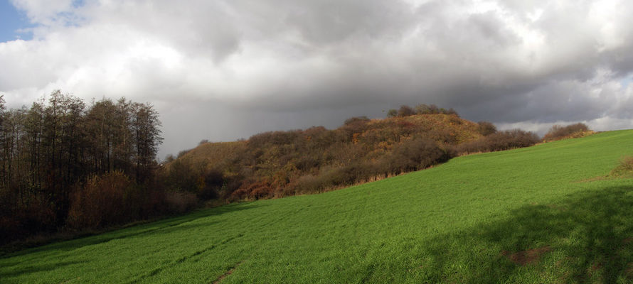 Ggrodzisko w Nowych Proboszczewicach
Słowa kluczowe: Nowe_Proboszczewice grodzisko