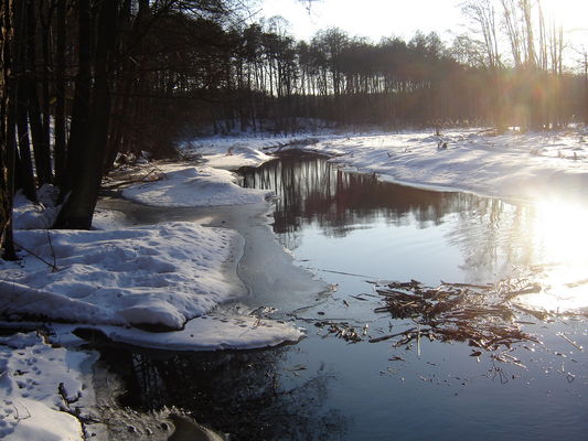 Soczewka - Krzywy Kołek
widok z mostku
