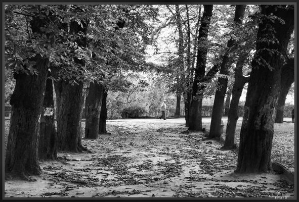 no i wszedl mi cholera w kadr!!
