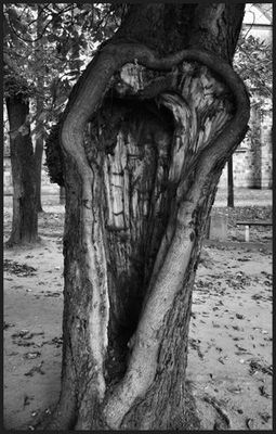 czeka na kogos...albo na cos
