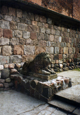 Lew przed zmianą legowiska ;)
Wielkie podziękowania dla Criox'a - bez jego ciężkiej pracy zdjęcie nie mogłoby być wstawione.
