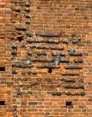 Gołębie
Wieża Szlachecka
