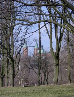 Katedra ze Wzgórza Dominikańskiego
Słowa kluczowe: Katedra, Stare Miasto