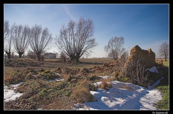 Wierzby
Czachorowo koło Płocka.
