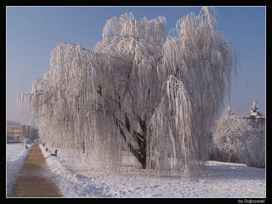 Zima 2006
Międzytorze
