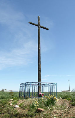 Krzyż - Nowe Proboszczewice
