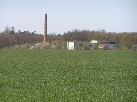 "Kwitnący" przemysł
Opuszczona fabryczka pod Sikorzem
Słowa kluczowe: Sikórz