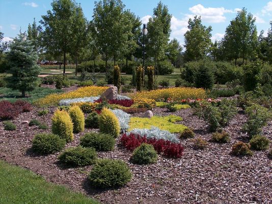 Park Podolszyce Północne
Za kilka lat będzie jeszcze piękniej!
