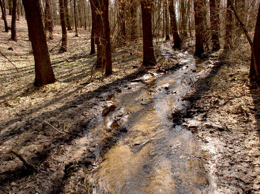 Brudzeński Park Krajobrazowy

