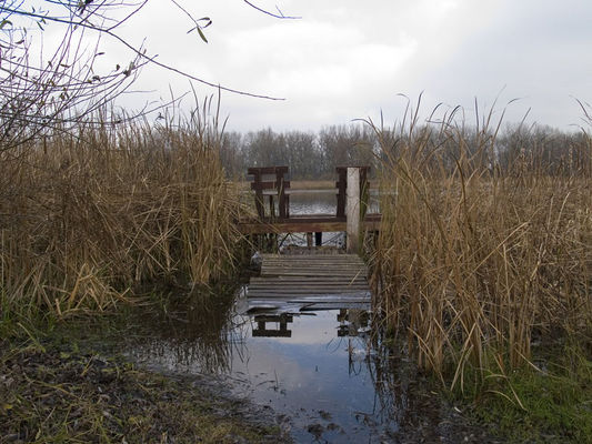 stanowisko wędkarskie
Rzeka Wisła
