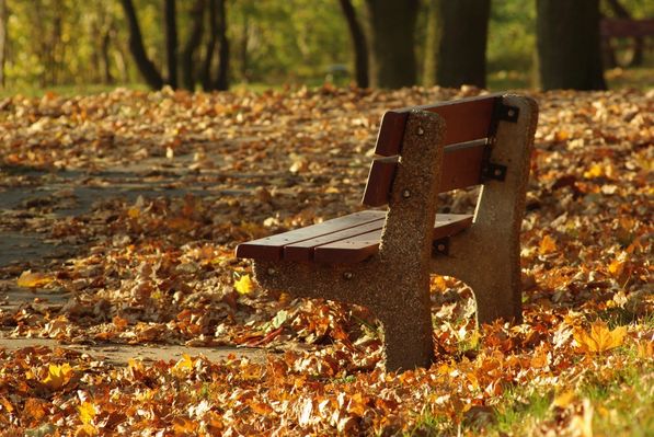 ławeczka
Park im. Wł. Broniewskiego
