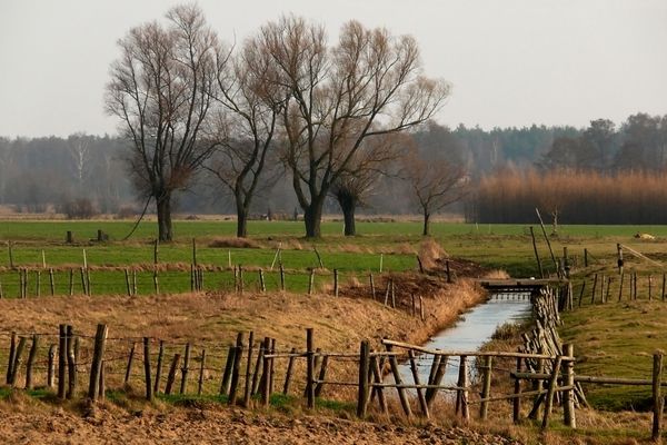 rzeczka
między Brwilnem a Soczewką
