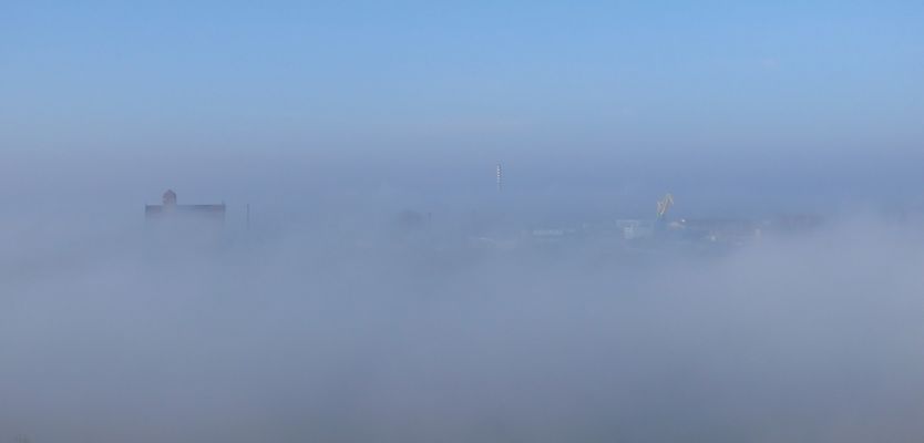 Radziwie zalane mgłą
