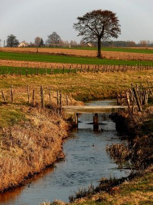 rzeczka
między Brwilnem a Soczewką
