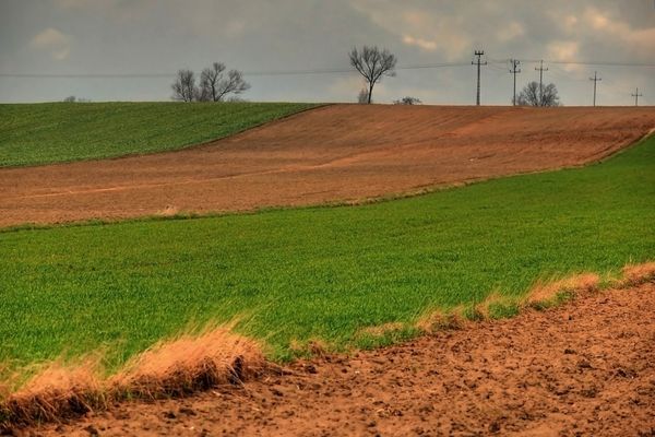 wiosna na polach
okolice Cekanowa

