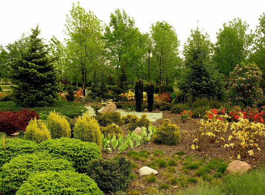 Park - Podolszyce Północ
