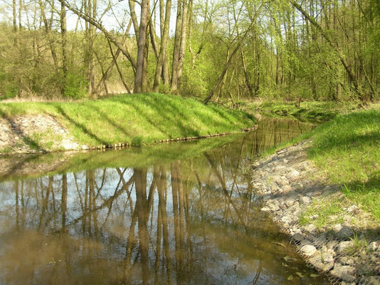 Słupianka.
Okolice szkoły w Słupnie.
