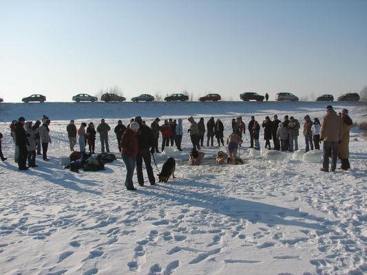 Płockie Morsy 2010
Widownia podziwiająca hardcorowców 
