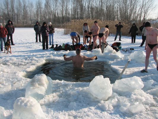 Płockie Morsy 2010
Słowa kluczowe: Morsy