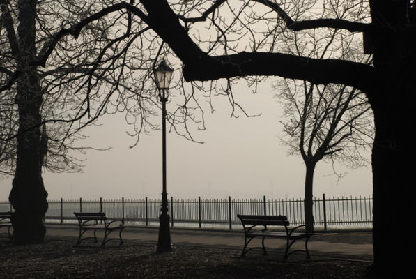 skwer wokół katedry
