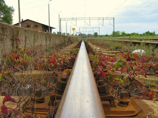 PKP Radziwie
W oczekiwaniu na pociąg
