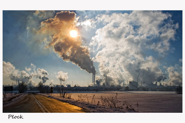 Orlen 
wczorajszy spacer
