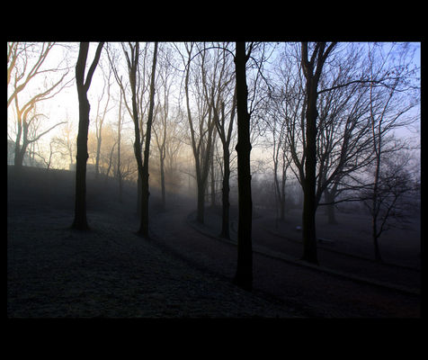 płocki poranek cz.3
