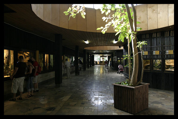 rybki, węże ...
Płockie ZOO
