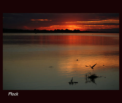 dzika rzeka Wisła
wrzesień 2010
