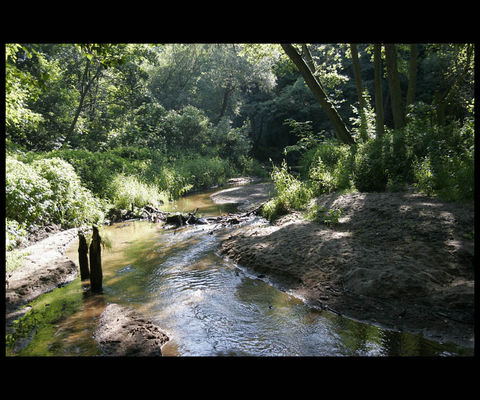 Skrwa
okolice Sikorza
