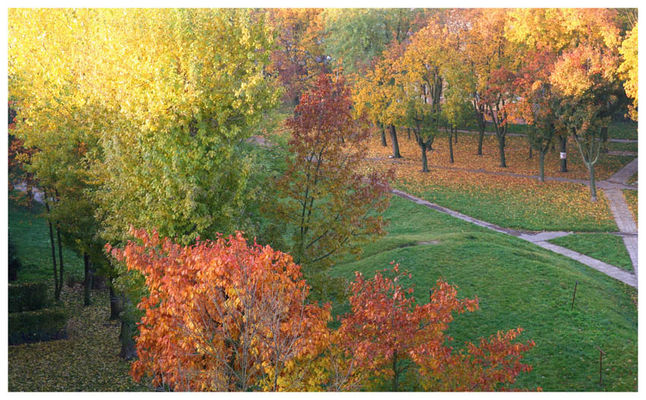 jesień-ul.Kredytowa
