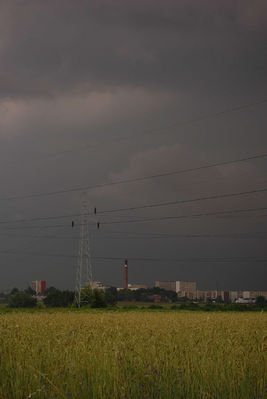 Przed burzą #3
Słowa kluczowe: burza, pole, zboże, chmury